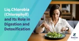 Liq.Chlorobia (Chlorophyll) and Its Role in Digestion and Detoxification
