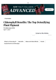 https://www.healzengroup.com/wp-content/uploads/2025/07/Liq-Chlorobia-07.webp