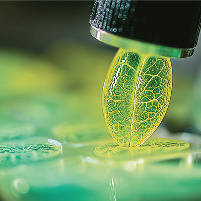 https://www.healzengroup.com/wp-content/uploads/2025/08/Establishing-Our-Research-on-Products-1.jpg