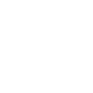 https://www.healzengroup.com/wp-content/uploads/2025/10/fnt.png